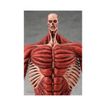 Estatua Armin Arlert 26 cm Shingeki no Kyojin Colossus Titan Ver L Good Smile Company - Imagen 3