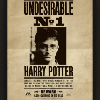 cuadro 3d harry potter y sirius black