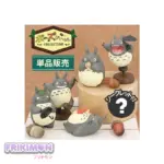 Blind Box Totoro Mi vecino Totoro Studio Ghibli 2