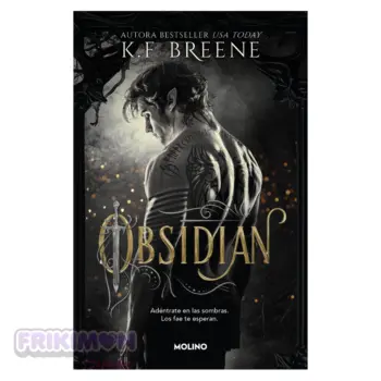 Obsidian (Los fae de las sombras 1)